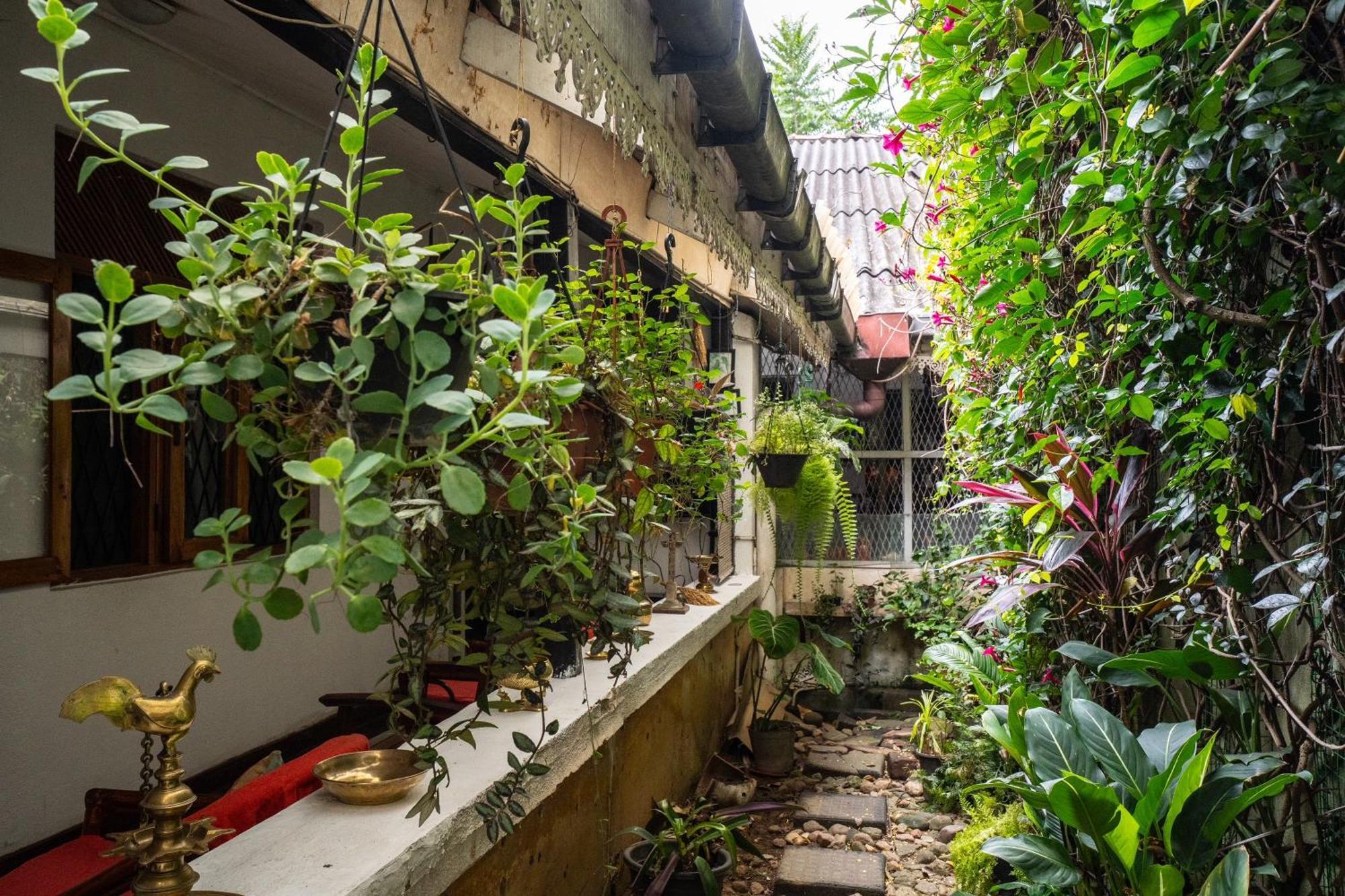 Kandy Inn Madugalle'S Family Guest House المظهر الخارجي الصورة